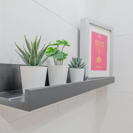 Nabucco Apartment Oviedo